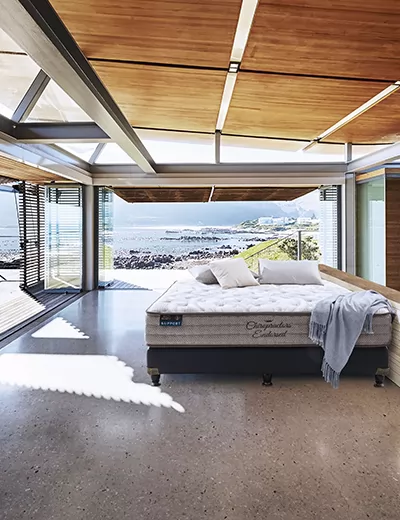 金可儿+现代软体+床垫专家之选